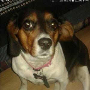 Meet your Posher, The